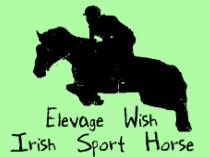 trait irlandais - irish sport horse