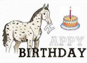 greeting card horse happy birthday