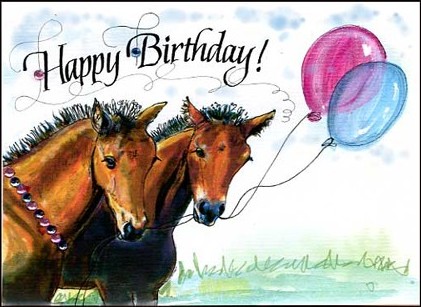 happy birthday card young horse