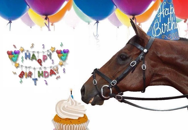 happy birthday horse card with balloons